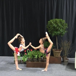 Gimnastički klub Maksimir