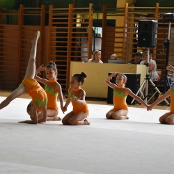 GK Maksimir - Grupni C program