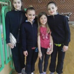 Gimnastički klub Maksimir