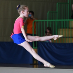 Gabrijela Jozic Maksimir