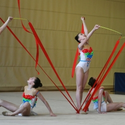 Hrvatska Juniorska Grupna