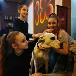 39. Svibanjski turnir