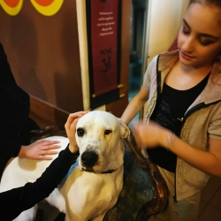 39. Svibanjski turnir