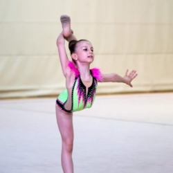 40. Svibanjski turnir