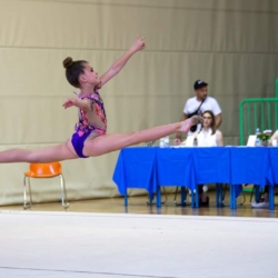 40. Svibanjski turnir