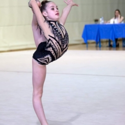 40. Svibanjski turnir