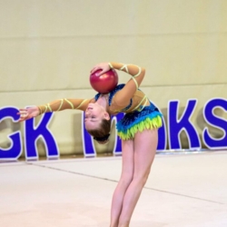 40. Svibanjski turnir