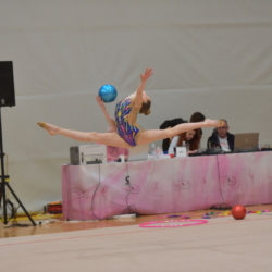 GK Maksimir - Natjecanja 2021. i 2022.